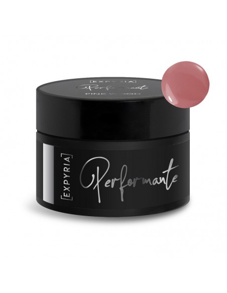 EXPYRIA GEL 30G.PINK WOOD PERFORMANTE ALTA DENSITA' AUTOLIVELLANTE