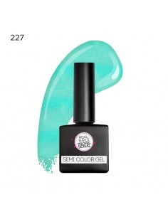 SEMIPERMANENTE SEMI-COLOR...