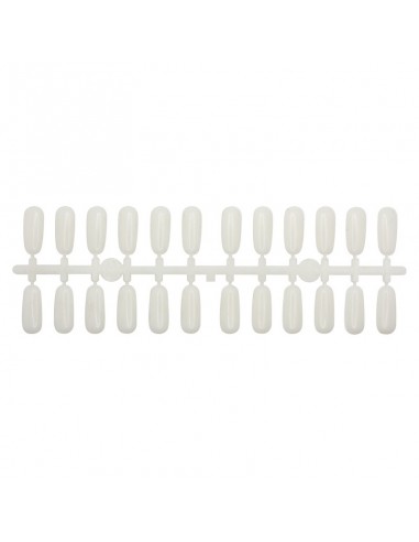 LIBRO ESPOSITORE MAXI DA 216 TIP...